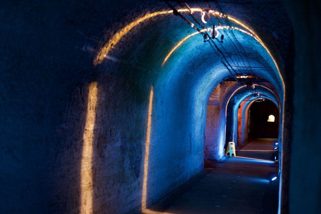 Вишуканий Реймс (Будинок Поммері і Вілла Демуазель)