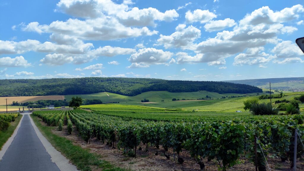 Реймс у глибині