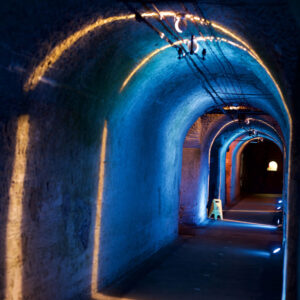 Шампань і мистецтво жити