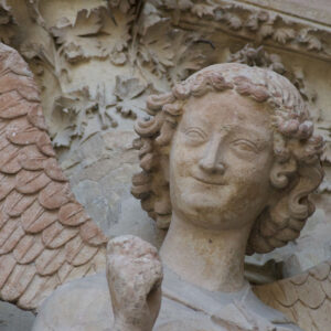 Перше знайомство з Шампанню